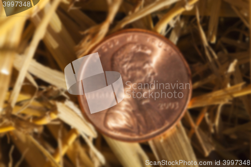 Image of coin in the straw