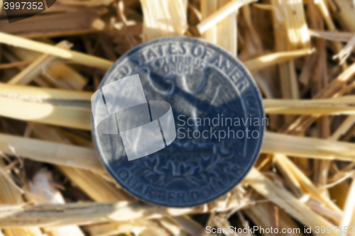 Image of coin in the straw