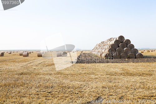 Image of stack of straw in the field