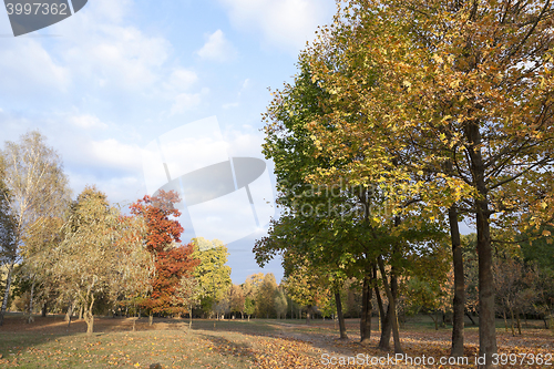 Image of autumn in the park