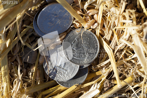 Image of coin in the straw