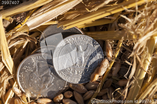 Image of coin in the straw