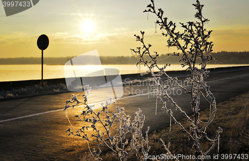 Image of Autumn Dawn frosty road, fog over the lake and grass covered with frost