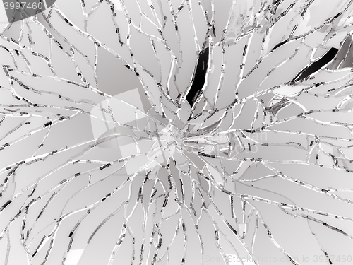 Image of Sharp Pieces of shattered glass