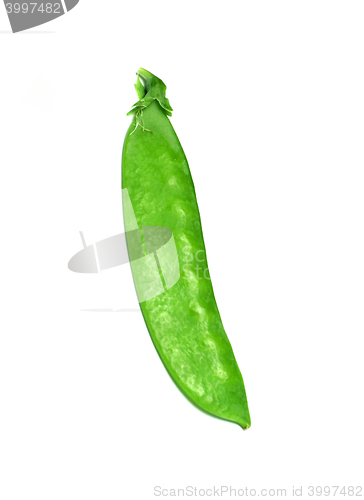 Image of fresh green peas isolated on a white background. Studio photo