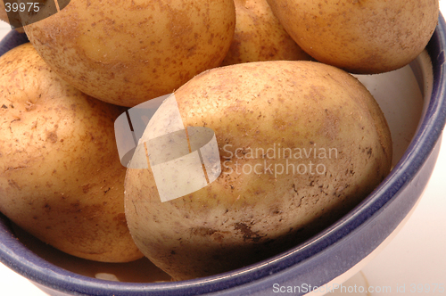 Image of potatoes in bowl 3 horizontal