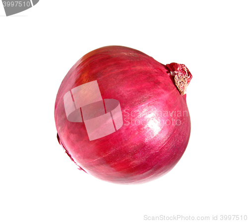 Image of red onion isolated