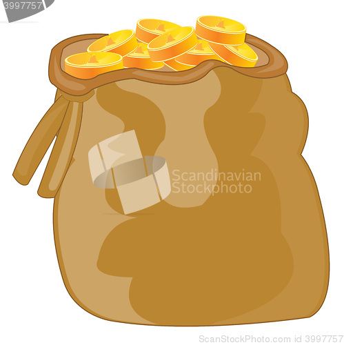 Image of Bag with coin