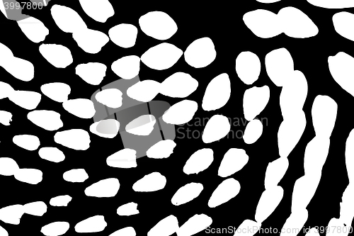 Image of Grunge white and black wall background. Vector illustration.