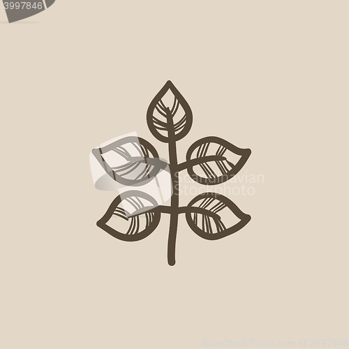 Image of Branch with leaves sketch icon.