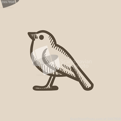 Image of Bird sketch icon.