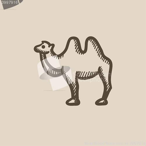 Image of Camel sketch icon.