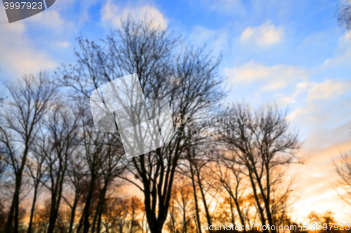 Image of Park at sunset