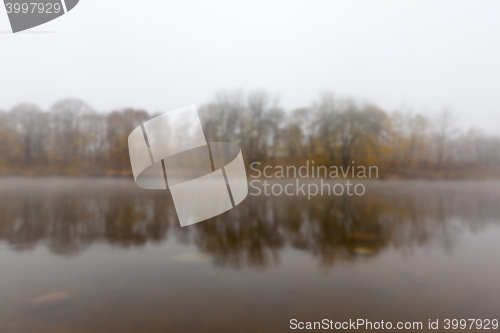 Image of Autumn Park, overcast