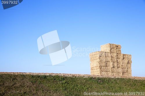 Image of stack of wheat straw