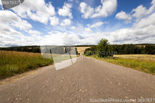 Image of Spring road, countryside