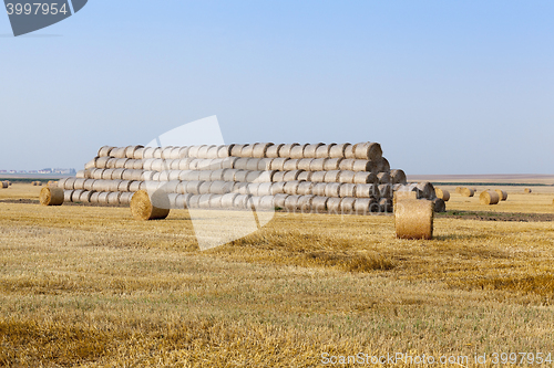 Image of stack of straw in the field