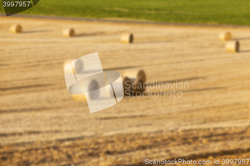 Image of stack of straw in the field