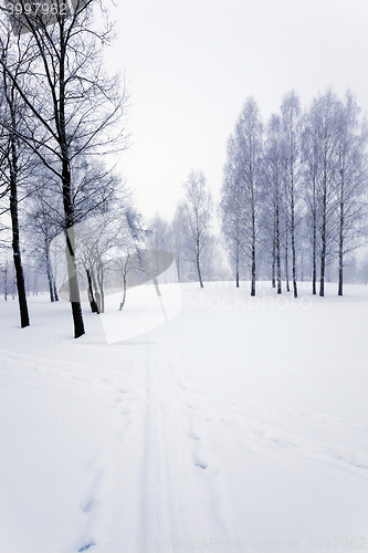 Image of winter road , track.