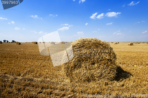 Image of Stack of straw