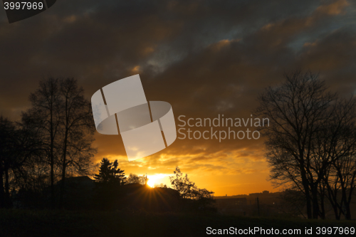 Image of Park at sunset