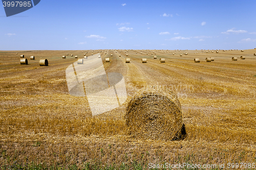 Image of Stack of straw