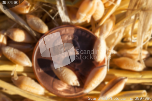 Image of coin in the straw