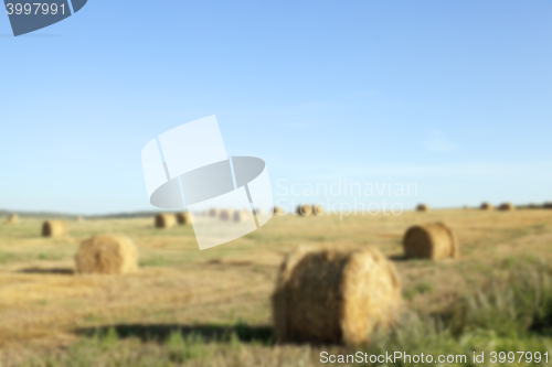 Image of haystacks in a field of straw