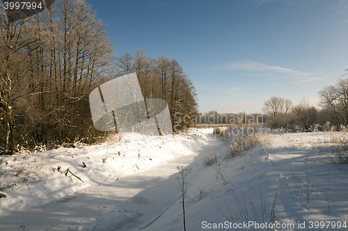 Image of park in winter