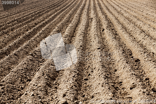 Image of plowed land, furrows