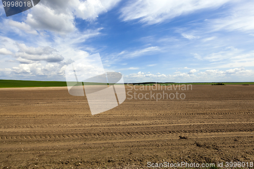 Image of plowed agricultural land