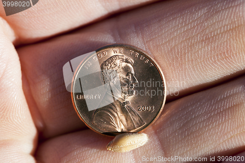 Image of coin in hand