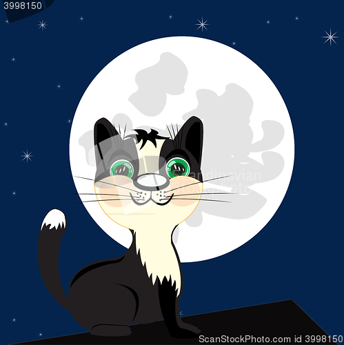 Image of Cat on roof in the night