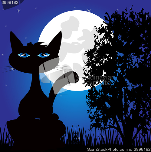Image of Wild panther on nature in the night