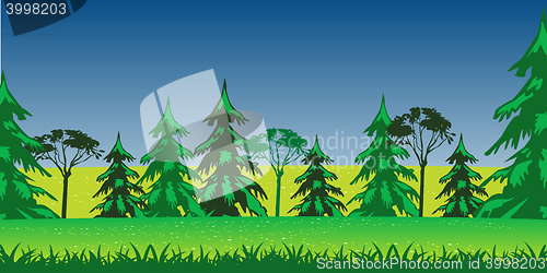 Image of Panorama wood and glade summer