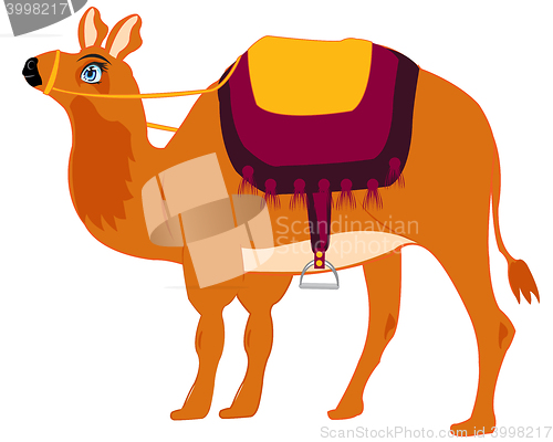 Image of Animal camel with saddle