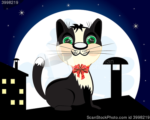 Image of Cat on roof in the night