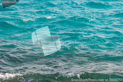 Image of Photo closeup of beautiful clear turquoise sea ocean water surface with ripples low waves on seascape background, horizontal picture