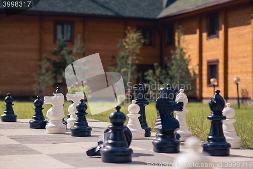 Image of big chess on a background of  wooden house and grass field