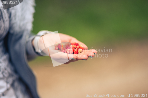 Image of female hand holding a strawberry against blurred green background