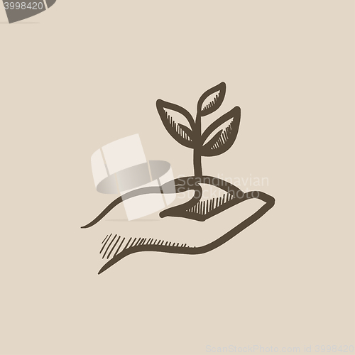 Image of Hands holding seedling in soil sketch icon.