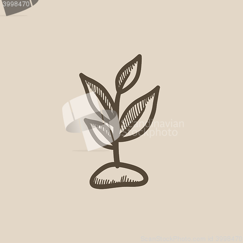 Image of Sprout sketch icon.