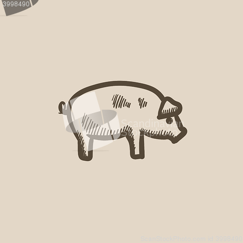 Image of Pig sketch icon.