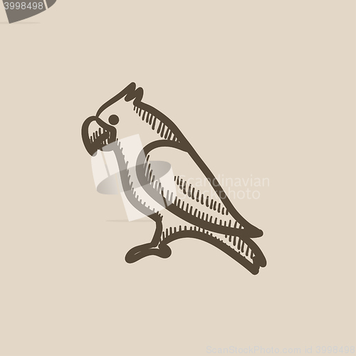 Image of Parrot sketch icon.