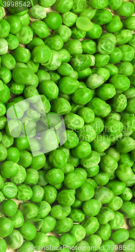 Image of Shelling peas