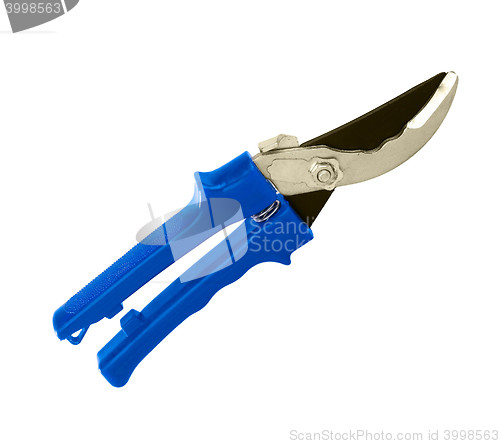 Image of blue garden shears isolated on a white background.