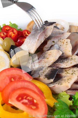 Image of tasting fresh herring