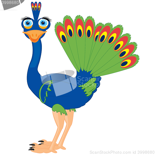 Image of Cartoon of the bird peacock