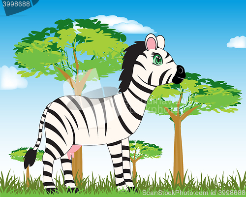 Image of Animal zebra in savannah