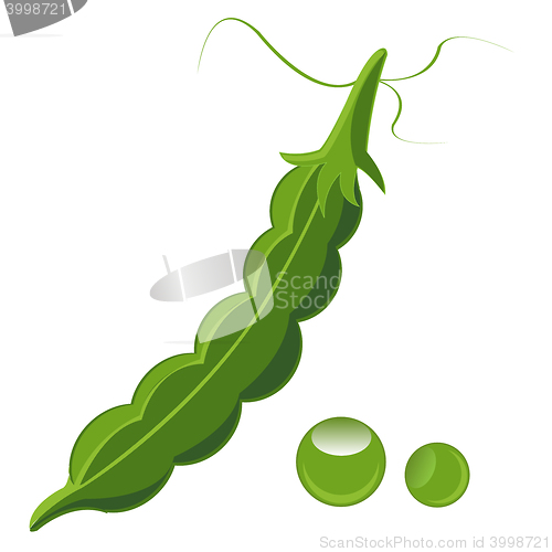 Image of Peas  on white